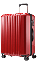 Africa 4 Luggage